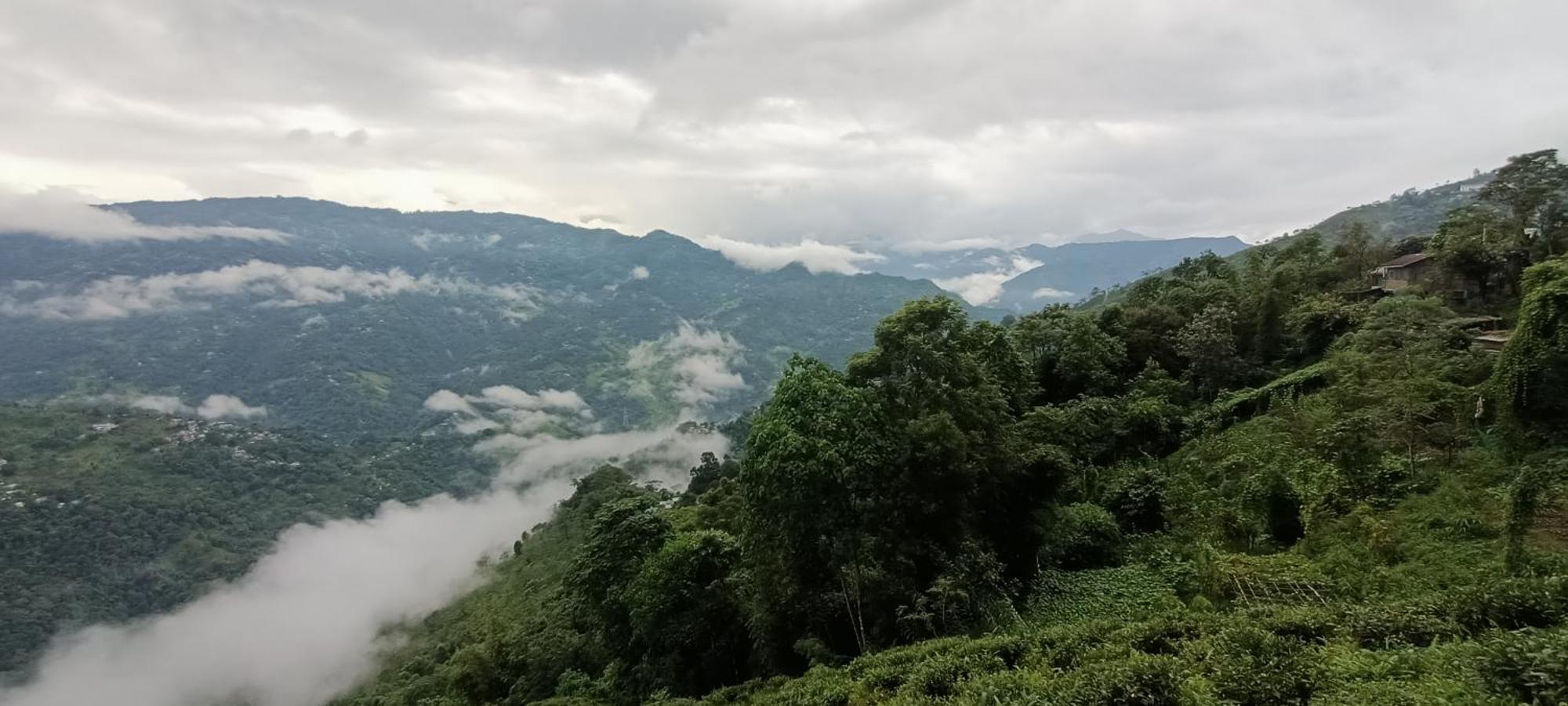 Tharbaling Homestay دارجيلنغ المظهر الخارجي الصورة